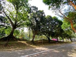 Blk 120C Rivervale Drive (Sengkang), HDB Executive #610219301
